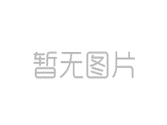 世界杯男星看专业女星看帅哥 佟丽娅被赞